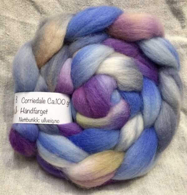 Corriedale B.