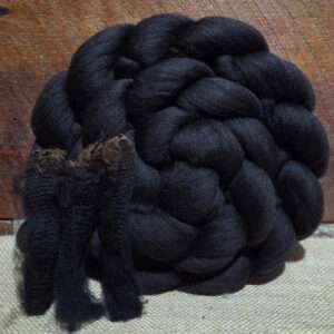 Haunui Lam Raven